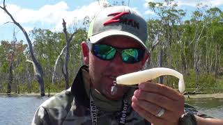 How to catch impoundment barramundi on soft plastics with Vinnie Versfeld [upl. by Ycat35]