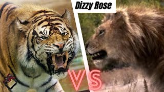 Ngandong Tiger vs American Lion 2022 [upl. by Luther587]