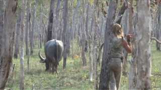 Spear Hunting Water Buffalo in Australia Part 1 [upl. by Joachim144]