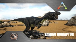 Ark Survival Evolved  Taming Oviraptor [upl. by Carboni]