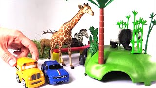 Animales salvajes para niños  Vamos al Zoológico  Carros para niños [upl. by Florinda]