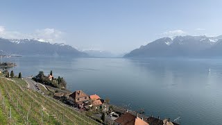 Chexbres Switzerland  🇨🇭 the beauty of the nature [upl. by Samohtnhoj471]