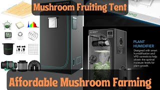 Affordable Mushroom Farming  Mushroom Fruiting Chamber [upl. by Nuhsed163]