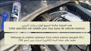 Nettoyage catalyseur peugeot 301 هدية لأصحاب بيجو301 ، تنظيف نظام حماية البيئة كتاليزور [upl. by Christel207]