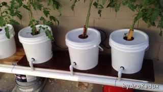 Cheap DIY BatoDutch Bucket Hydroponic System [upl. by Hisbe97]