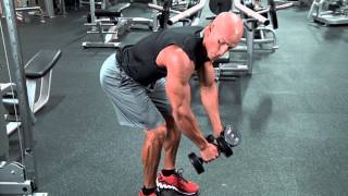 Standing Rear Delt Dumbbell Raise [upl. by Adnylem]