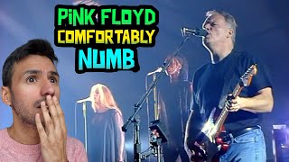 Pink Floyd  Comfortably Numb REACTION WRITER REACTS FOR THE FIRST TIME [upl. by Tiena]