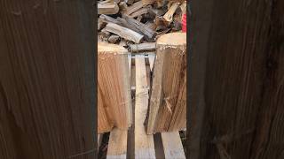 FIREWOOD ID RED OAK vs PIN OAK trees firewood [upl. by Jadd344]