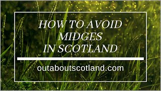 How to Avoid Midges in Scotland [upl. by Ambrose]