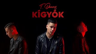 T Danny  Kígyók Official Audio [upl. by Gilli]