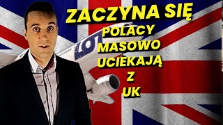 Zapaść Cen Domów 489 Zapaść Cen Mieszkań Nieruchomości Domów w Polsce [upl. by Lucine]