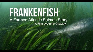 Frankenfish A Farmed Atlantic Salmon Story by Annie Crawley [upl. by Fokos196]