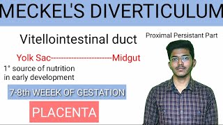 Meckels Diverticulum made easy  Embryology  Anatomy [upl. by Yerfoeg]