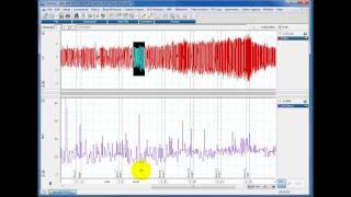 Calculating rates from Respiratory Traces [upl. by Casimir]