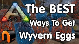 Ark Survival Evolved HOW TO GET WYVERN EGGS [upl. by Aivirt]