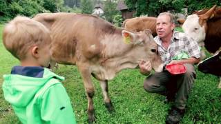 WieWirLeben  Urlaub am Bauernhof Kärnten 🐮 [upl. by Fidelity]