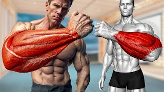 6 Best Brachioradialis Exercises [upl. by Adahsar]