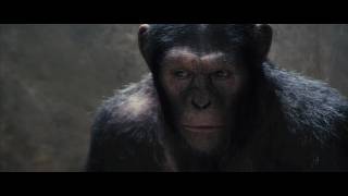 OFFICIAL First Look at APES from Weta [upl. by Sammy]