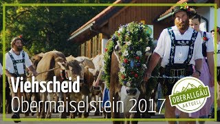 Viehscheid Obermaiselstein 2017  Oberallgäu Aktuell [upl. by Mayda]