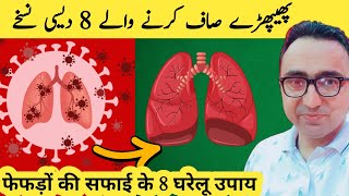 Top 8 Herbs for Lung Health Clearing Mucus COPD and Killing Viruses [upl. by Maidel]