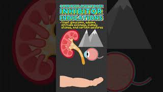 Carbonic Anhydrase Inhibitor Facts [upl. by Okomom]