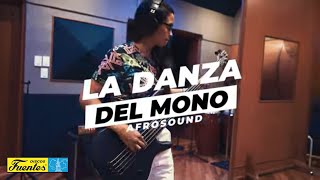 LA DANZA DEL MONO  Afrosound Video Oficial [upl. by Woodie]