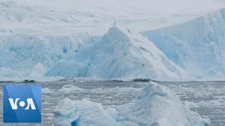 Moment Massive Slab of Ice Breaks Off of Glacier in Antarctica [upl. by Anialahs]