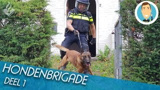 HONDENBRIGADE  SURVEILLANCEHONDEN  POLITIE  DEEL 1 [upl. by Ahsikyt]