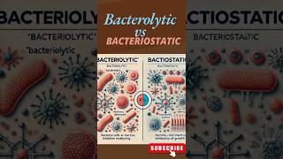 Bacterolytic vs Bacteriostatic shortsfeed shorts antibiotics medical pharmacy [upl. by Hayse]