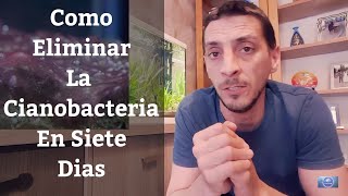 🔵 Como Eliminar La Cianobacteria De Nuestro Acuario En 7 Días Acuarios MB [upl. by Names]