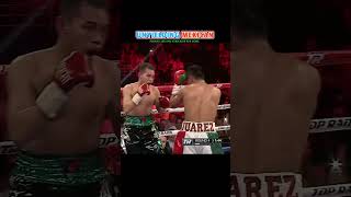 Nonito Donaire VS Cesar Juarez  Highlights boxing action combat sports fight [upl. by Lionello]