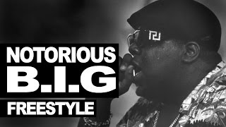 The Notorious BIG freestyle 1995 WeMissYouBIG [upl. by Doloritas]