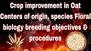 Crop improvement in Oat Centers of origin species Floral biology breeding objectives amp procedures [upl. by Hilaria269]