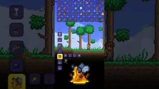 COMO Invocar a la Reina Abeja en Terraria🐝🍯 [upl. by Airamahs112]