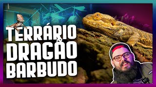 Terrário para DRAGÃO BARBUDO Pogona vitticeps  Como montar terrário Dragão Barbado [upl. by Ikey]