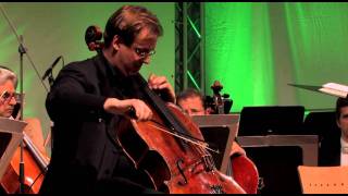 Shostakovich Cadenza Wolfgang Emanuel Schmidt  Cello Akademie Rutesheim [upl. by Shelly973]