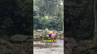 Que loucura está esse episódio 38 na Cachoeira do Tobogã em ParatyRJ vlog vidanômade [upl. by Behka]