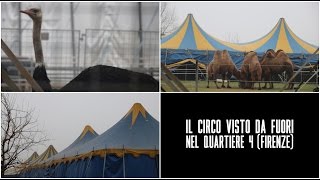 IL CIRCO VISTO DA FUORI nel Quartiere 4 Firenze [upl. by Eirellam]