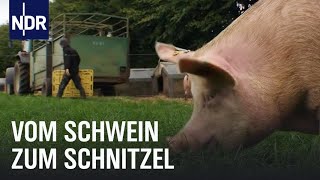 Schweinefleisch Vom Ferkel zum Bioschnitzel  Wie geht das  NDR [upl. by Spancake]