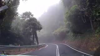 Coffs Harbour Dorrigo National Park to The Honey Place Urunga  NSW Driving  NSW Australia [upl. by Doolittle346]