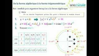 Synthèse dUne Minute  Transformer un complexe  TS  TES [upl. by Lois]