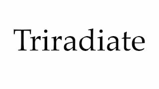 How to Pronounce Triradiate [upl. by Haisa562]