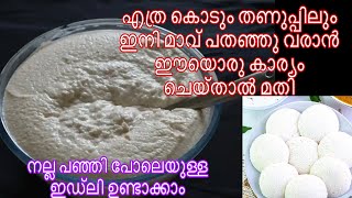 ഇനി ഏതു കാലാവസ്ഥയിലും മാവ് പതഞ്ഞുപൊങ്ങാൻ ഈയൊരു സൂത്രം ചെയ്തു നോക്കൂ  Soft idle recipe [upl. by Patrizio127]