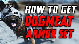 Fallout 4 How To Get Dogmeats Dog Armor amp How To Equip It [upl. by Eadahs210]