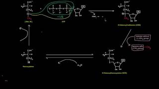 One Carbon Transfers Part 5 of 5  SAdenosylmethionine SAM [upl. by Scoles]