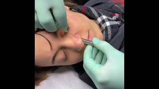 Piercing Nez  Vidéo Démonstration [upl. by Siloa]