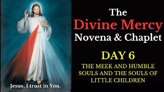 Divine Mercy Novena amp Chaplet  Day 6 [upl. by Gnihc]