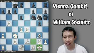 Vienna Gambit ni William Steinitz chess [upl. by Llywellyn978]