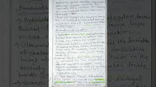 Pyrimidine dimerization and mismatch repair molecular biology bsczoology zoology notes [upl. by Skylar]