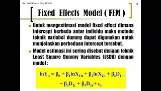 Data Panel  Fixed Effect amp Random Effect [upl. by Akinyt50]